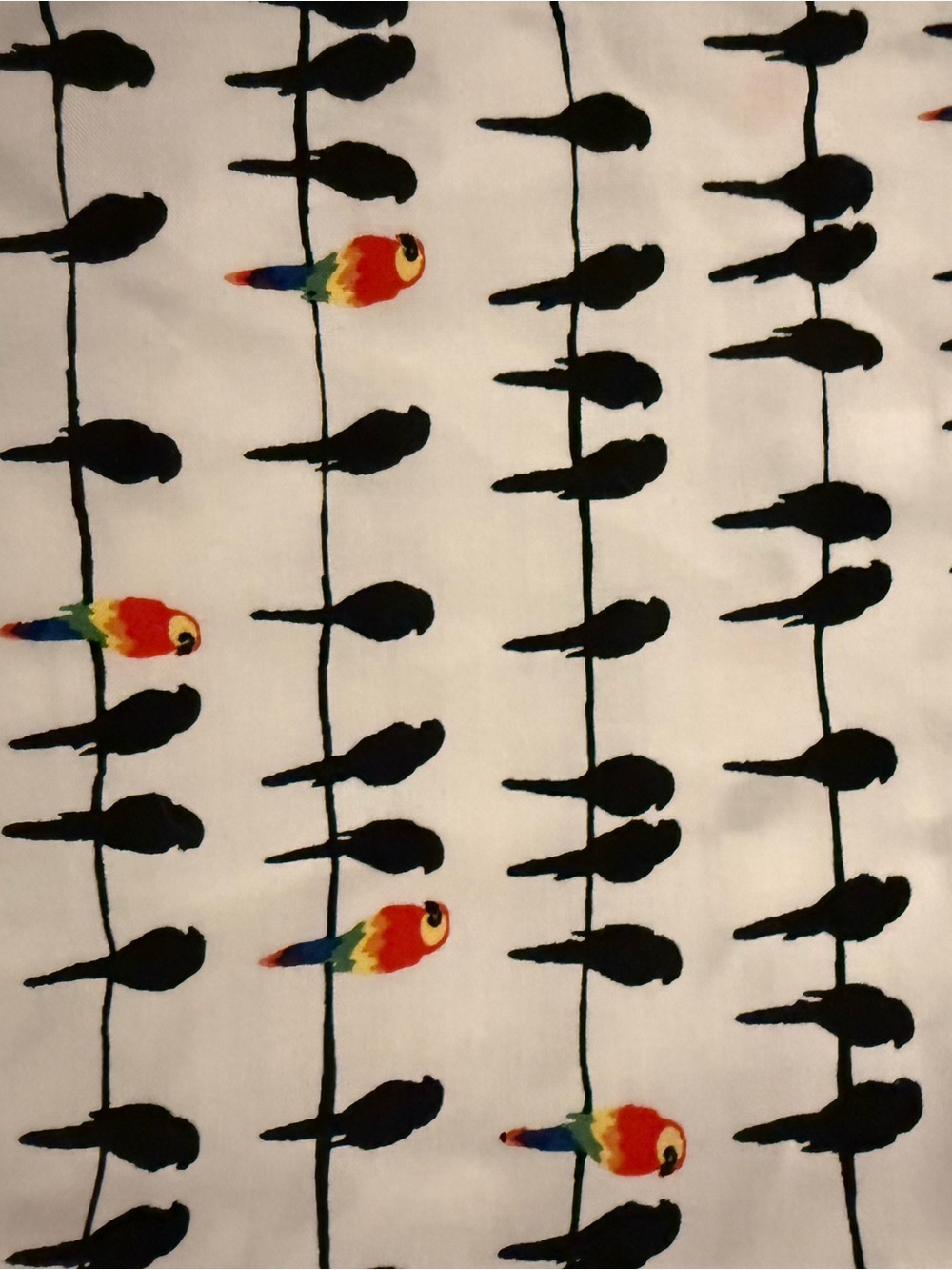 White Short-Sleeve Button Front Blouse with Black & Red Parrot 🦜 Bird Print - Picture 4 of 6